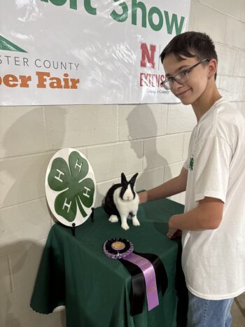 Omega Reserve Champion Pet Class